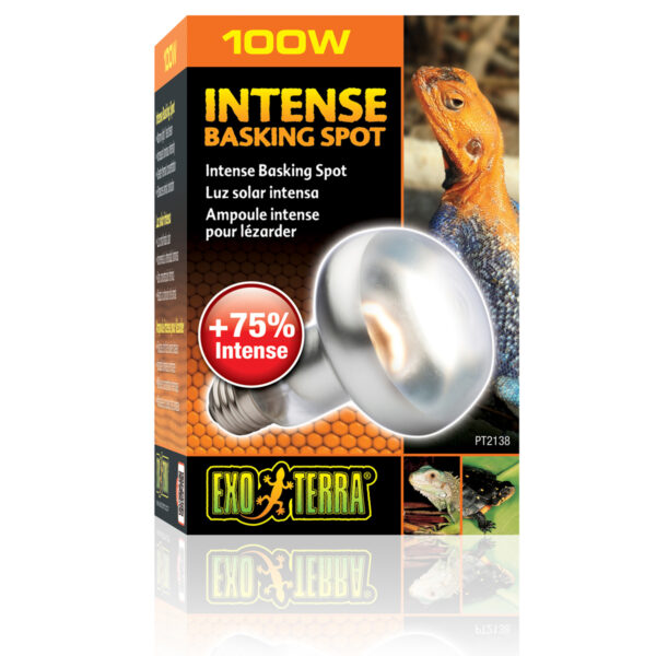 Exo Terra Intense Basking Spot 4+1 zdarma 100 W